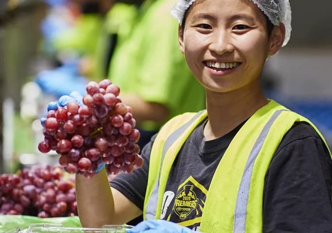 A smiling packhouse worker in a hairnet holding a bunch of red grapes